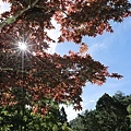 012A8997.JPG
