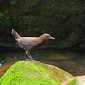 IMG_5120-1.jpg
