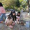 012A9967.JPG
