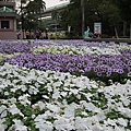 20101129花博 661.jpg