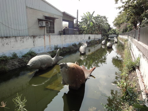 4嘉雲南遊2011.9.jpg