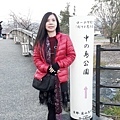 京都嵐山107.11.27.jpg