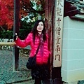 京都嵐山107.11.27-17.jpg