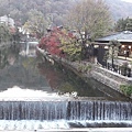 京都嵐山107.11.27-26.jpg
