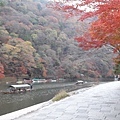 京都嵐山107.11.27-27.jpg