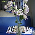 桌上有擺可愛的鮮花，但這是什麼花阿?!誰能告訴我...