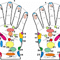 手部穴道圖