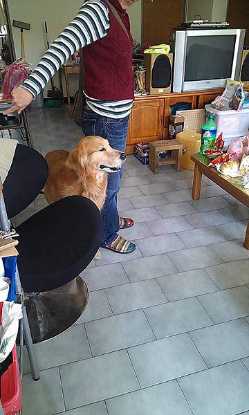 IMAG0280 IMAG0280