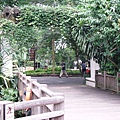新加坡動物園-