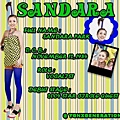 2NE1-SANDARA-01.JPG