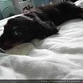 SAM_3118.JPG