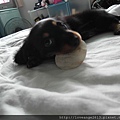 SAM_3120.JPG