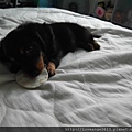 SAM_3132.JPG