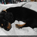 SAM_3139.JPG