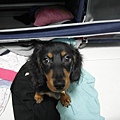 SAM_3218.JPG