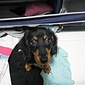 SAM_3220.JPG
