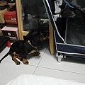 SAM_3266.JPG