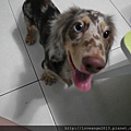 SAM_3368