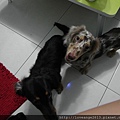 SAM_3372