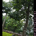 海南D4-興隆-熱帶植物園003