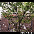 110320新加坡之旅-烏節路(白天)-街景18-高島屋.jpg