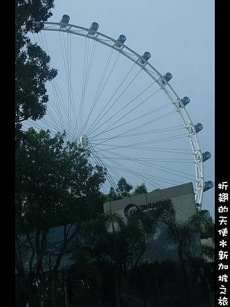 110326-新加坡之旅-環球影城-路上01.jpg