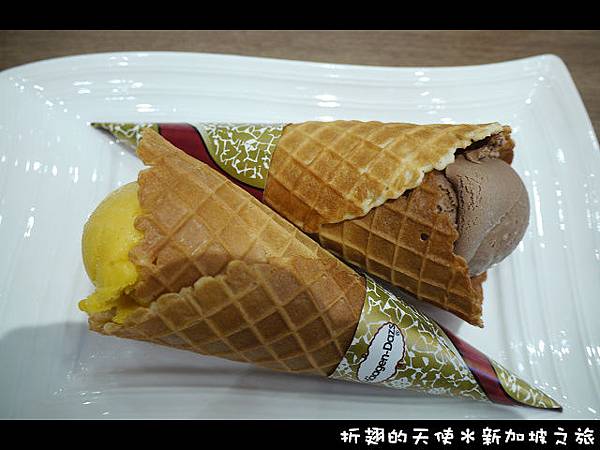 110322新加坡之旅-政府大廈-哈根達斯冰淇淋.jpg
