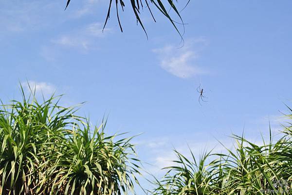 【新北慢旅】鼻頭國小·海角新樂園&鼻頭角步道,遇見海,享受純粹般的美好