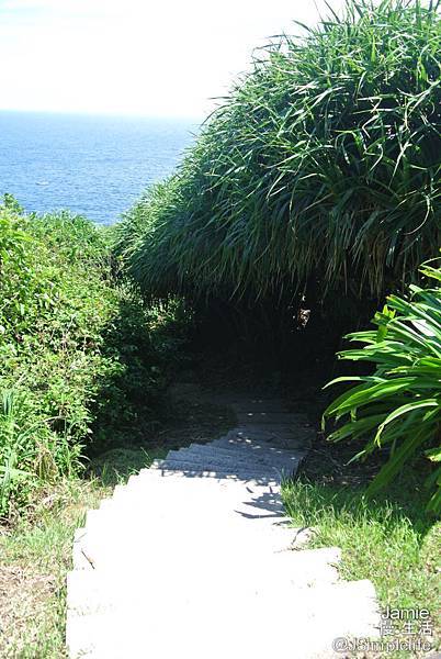 【新北慢旅】鼻頭國小·海角新樂園&鼻頭角步道,遇見海,享受純粹般的美好