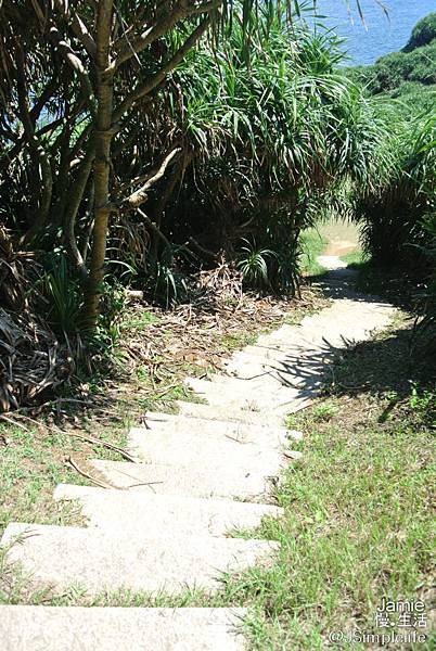 【新北慢旅】鼻頭國小·海角新樂園&鼻頭角步道,遇見海,享受純粹般的美好