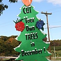 12月還可以來這兒砍顆聖誕樹回家喔～