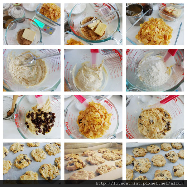 葡萄乾玉米脆片餅乾 葡萄乾玉米脆片餅乾