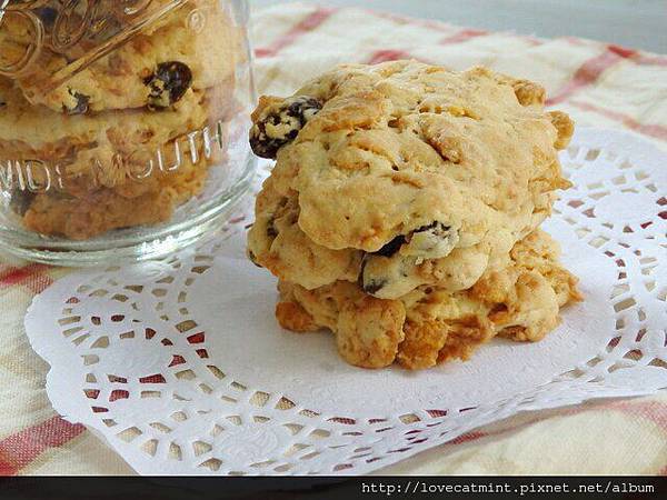 葡萄乾玉米脆片餅乾 葡萄乾玉米脆片餅乾