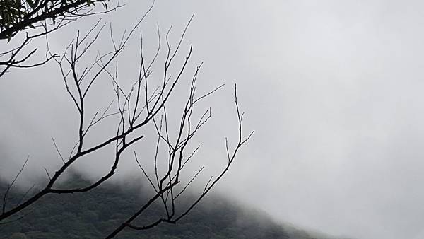 20170830_122421 20170830_122421