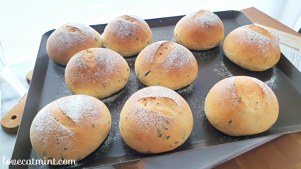 Fotor_165448622662090.jpg Fotor_165448622662090.jpg