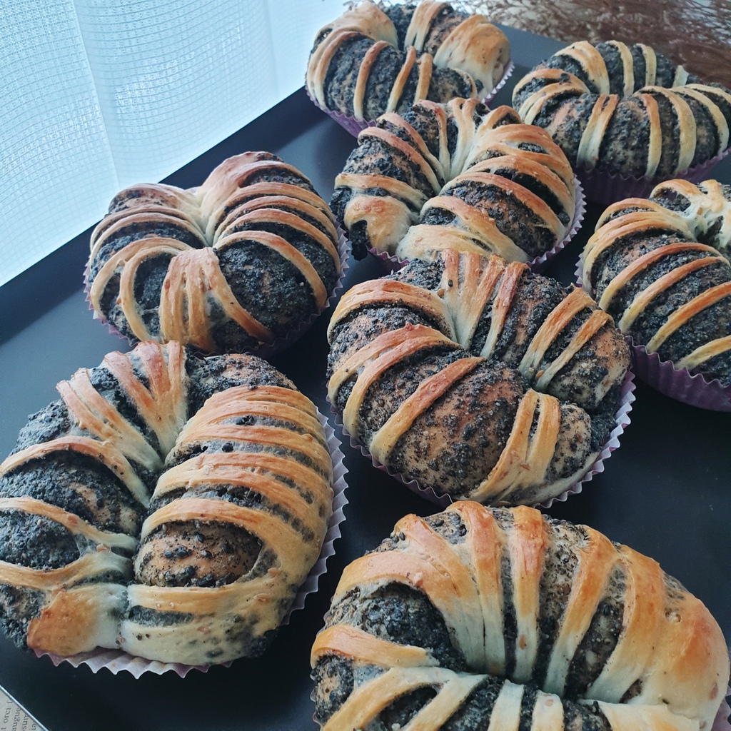 Fotor_165631309757281.jpg Fotor_165631309757281.jpg