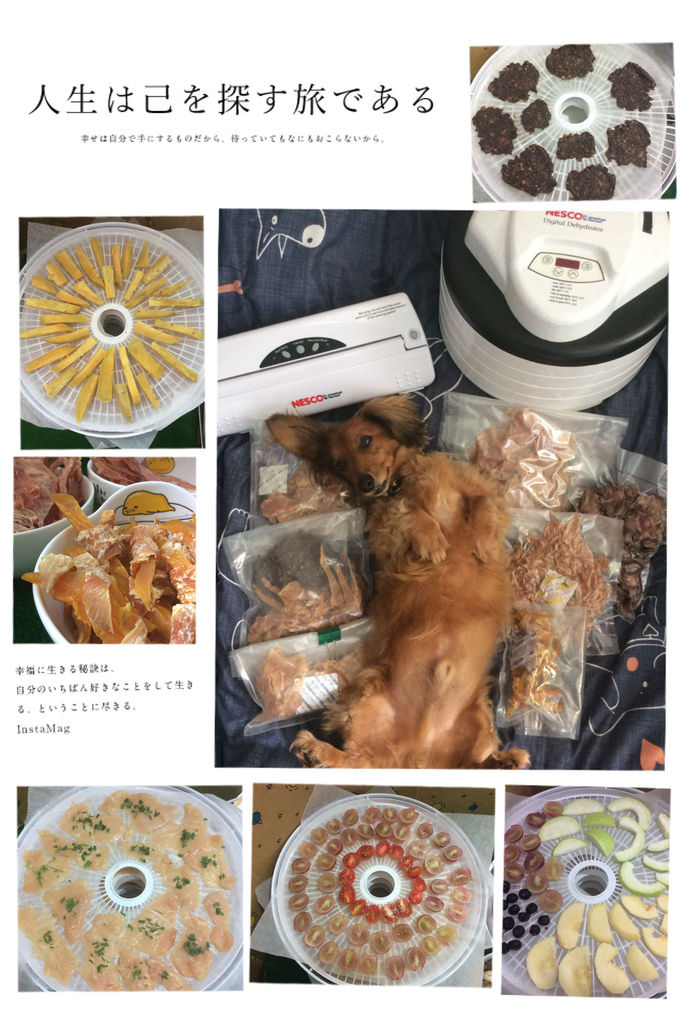 74F88B31-8ED6-45BF-A8A0-827D7CE80FC0.jpeg 74F88B31-8ED6-45BF-A8A0-827D7CE80FC0.jpeg
