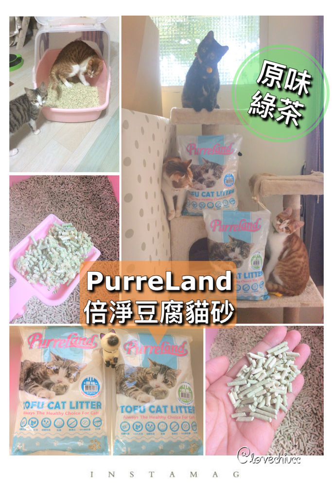 2B270AFA-E989-4B27-8F4D-DB8F591A9A1E.jpeg 試用