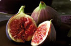 fig