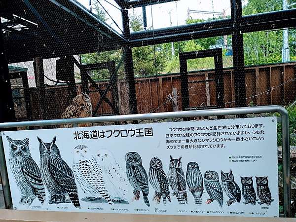 北海道 旭山動物園 無論冬天夏天都很好玩 行者無疆 痞客邦 北海道 旭山動物園 無論冬天夏天都很好玩 行者無疆 痞客邦