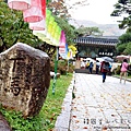 215.JPG