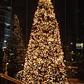 Lobby晚上的聖誕樹..