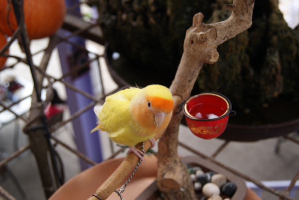 DSC00077.JPG