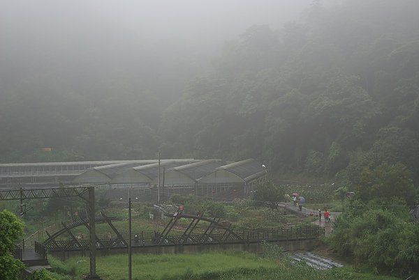 DSC01650.JPG