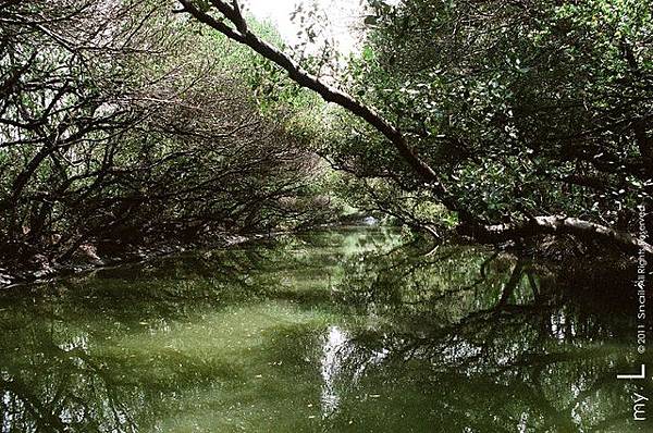 四草綠色隧道.jpg