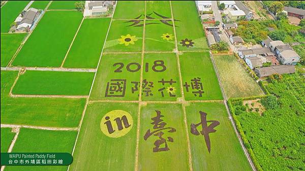 2018台中世界花卉博覽會(2018花博)in 台中 2018台中世界花卉博覽會(2018花博)in 台中