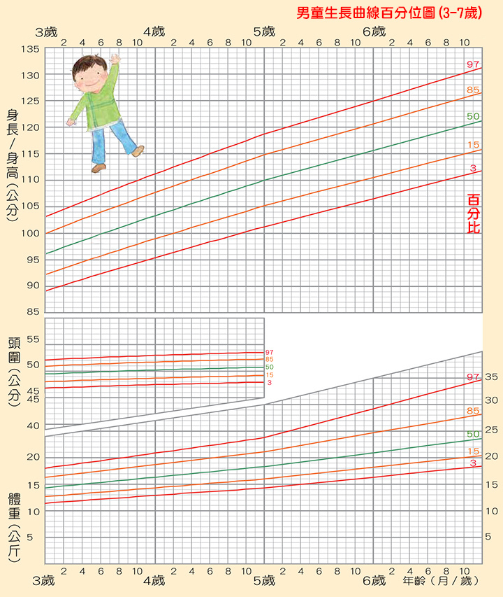 「男童」生長曲線百分位圖(3-7歲，身高/頭圍/體重),身高體重換算