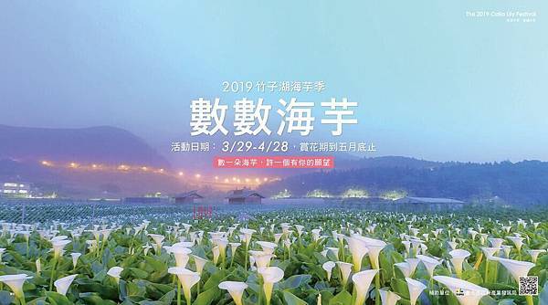 台北景點推薦:季節限定~竹子湖海芋季 台北景點推薦:季節限定~竹子湖海芋季