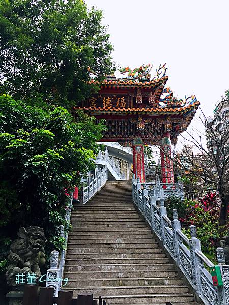 新北特色公園【中山公園】挑戰療癒森林裡的彩色水管滑梯+跑酷棧