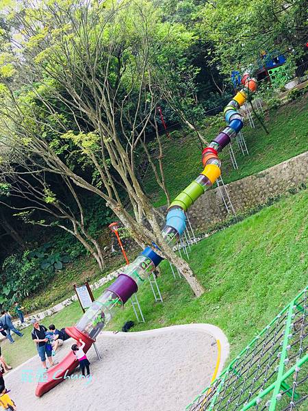 <三峽公園>來中山公園挑戰:療癒森林的"彩色水管滑梯"+跑酷棧道大考驗